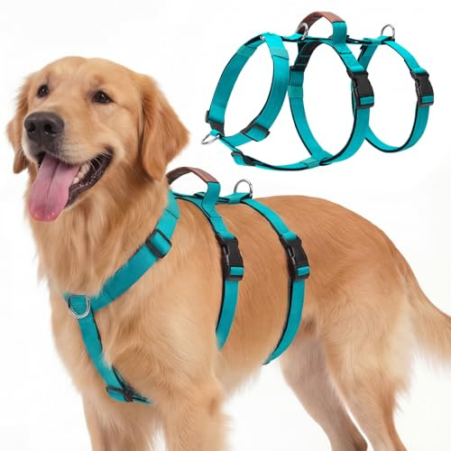 Ledeak Arnes Perro Grande Mediano, Arnes Perro Antitirones Transpirable con Mango de Control, Arnés Anti Tirones, Chaleco Ajustable y Antiescape para Adiestramiento y Paseos, Dog Harness (Turquesa, M)