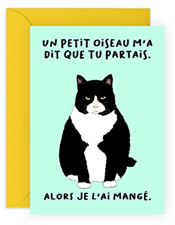 Central 23 Carte de départ Nouvelle travail pour femme - 'UN PETIT OISEAU M'A DIT QUE TU PARTAIS' - Carte d'adieu amusante pour homme - Motif chat - Cadeau humoristique pour ami, collègue