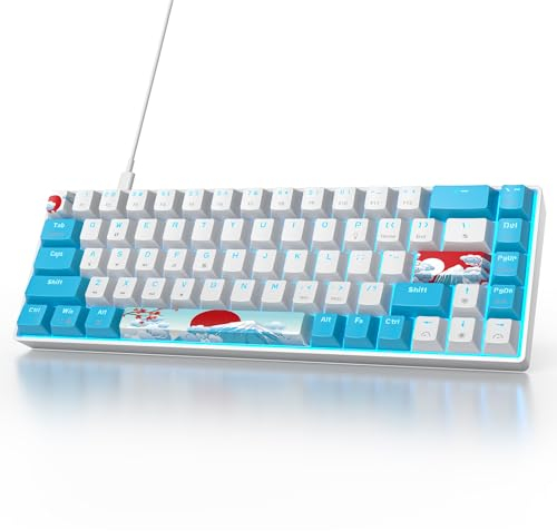 Owpkeenthy Wired 65% Mechanical Gaming Keyboard with Blue Switch 60% Ultra Compact RGB Gaming Keyboard Backlit Keys N-Key Rollover for PC PS5 Xbox(Blue/ 68 Blue Switch)