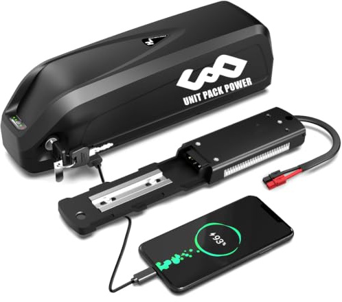 Batterie vélo électrique 48v pour 250w 500w 750w 1000w Avant/arrière Moteur