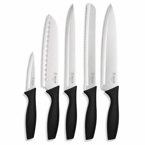 GRILLAB Coltelli da Cucina, Set Coltelli da Cucina Professionale, Coltello Chef, Carne e Verdure, Acciaio Inox con Guaina Protettiva, 10 Pezzi