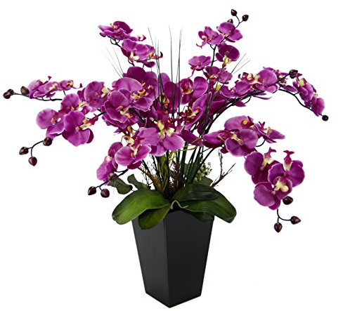 Flair Flower Orchidée dans Le Pot, Rose foncé., 66 x 50 x 50 cm