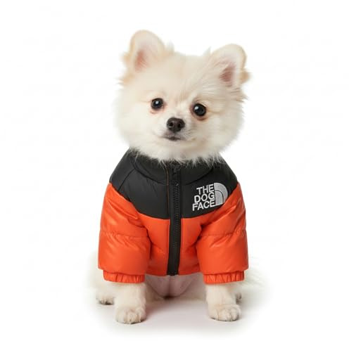 Chaqueta de Invierno para Perros The Dog Face, Abrigo Cortavientos con Cremallera, Chaleco Térmico en Negro, Morado y Naranja, Tallas S-XL para Mascotas Pequeñas y Medianas (Naranja, XL)