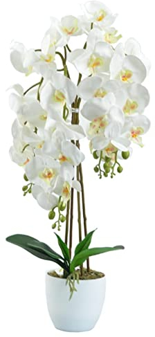 DIXIE STORE pianta artificiale orchidea | Orchidea artificiale in vaso come quella vera 70 cm 4 rami numerosi fiori densi bianchi