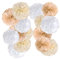 Easy Joy 15 Stück Party Dekoration Pompons Boho Deko Beige Braun Weiß Seidenpapier Pompom für Hochzeitsdeko, Geburtstag Party Deko, Babyparty Deko, Tischdeko Geburtstag