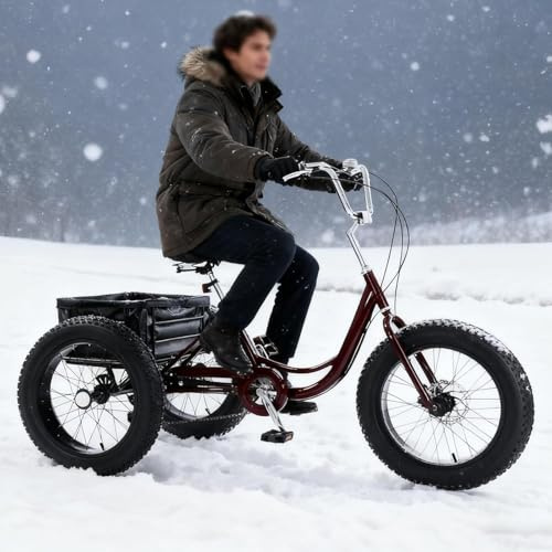 GCLCPAEN Tricycle pour Adultes,Tricycle Tout-Terrain pour Adultes,Vélo Cruiser en Acier Au Carbone avec Grand Panier,Siège Réglable,Pneus Larges De 20,Tricycles pour Femmes,Seniors Et Hommes