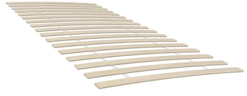 vidaXL Recambios de Láminas de Cama con 48 Lamas 2 uds, Listones Enrollables Plegables, Somieres de Cama, Muebles para Dormitorio Hogar, 100x200 cm