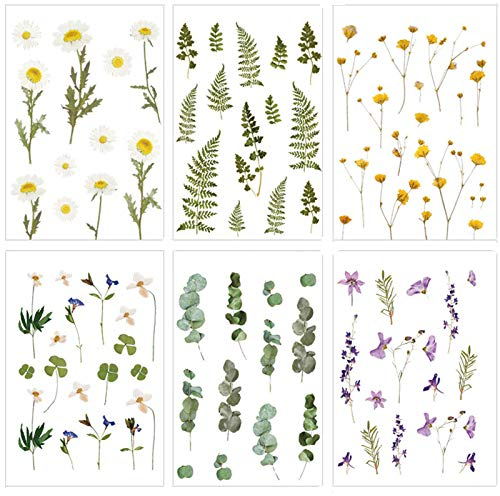 Generic Wetterfest, 6 Pcs, Pflanzen, Transparent Sticker Blumen, Aufkleber Natur für Scrapbook Kalender Notizbuch Tagebuch Fotoalbum DIY Dekoration, Beige