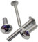 1 pz/50 pz M2 M2.5 M3 M4 M5 M6 M8 304 In Acciaio Inox Grande Piatto Rotondo Vite a Testa Croce(4mm,M6 1pc)