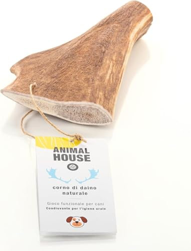 Animal House Corna di Daino per Cani, Masticativo Naturale al 100%, Rafforza Igiene Orale, Resistenti e Duraturi, Disponibili in tutte le taglie (L)