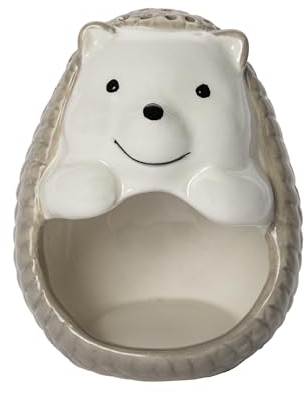 fisura. - Porte Cure-Dents Original en Forme de hérisson. Distributeur de Cure-Dents Vert et Amusant. Porte Cure-Dents en céramique. Boite à cure-dents12 x 11 cm.