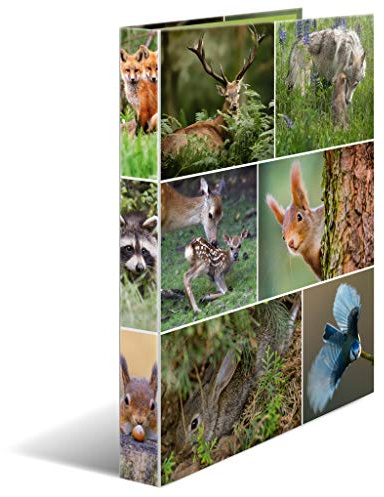 HERMA Raccoglitore ad anelli A4 Animali motivo di animali della foresta, dorso di 35 mm, Cartelle ad anelli in cartone per bambini