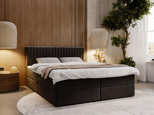 GRAINGOLD Marbella Lit 160x200, Boxspring avec Coffre de Rangement, Rembourré avec Matelas à Ressorts Bonell, Lit Double, Tissu en Velours, avec Surmatelas, avec Tête de Lit (Gris foncé, 160x200)