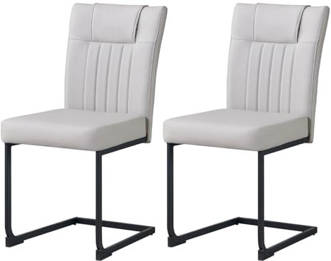 JYMTOM Freischwinger Schwingstühle 2er Set mit PU Kunstleder und hoher Rückenlehne, Esszimmerstühle mit mattem Metallgestell für Wohnzimmer Esszimmer Büro (2, Grau)