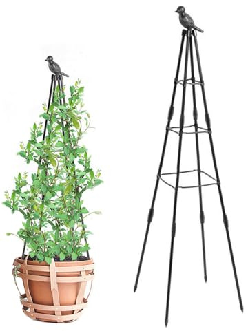 Enrejado para Plantas, Diseño de Obelisco Ajustable en Altura 63 - Soporte Exterior Inoxidable para Flores y Verduras