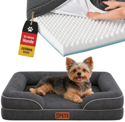 CORTES PETS Orthopädisches Hundebett für Kleine Hunde - 60 x 48 x 17 cm - Hundekissen für Kleine Hunde - Hundekorb - Wasserfest HundeCouch - Waschbar - erhöhte Ränder - Hundesofa -Memory Foam