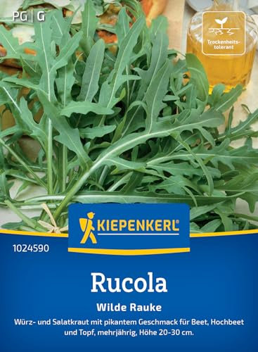 Kiepenkerl Rucolasamen Wilde Rauke 1024590 - Würz- und Salatkraut mit pikantem Geschmack und Inhalt für 150 Pflanzen - Saatgut, Kräutersamen, Kräuterpflanzen