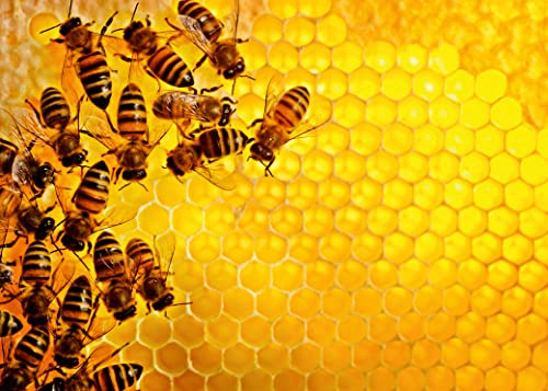 Ravensburger - Puzzle 1000 pièces - La Ruche aux Abeilles (Challenge Puzzle) - Adultes et Enfants dès 14 Ans - Puzzle de qualité supérieure - 17362