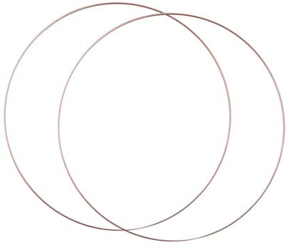 LOVIVER 2 pezzi di cerchi floreali in metallo anelli ghirlanti decorazioni in, artigianato appeso a parete rotondo per preparare ganci per piante fai, Diametro 40 Cm