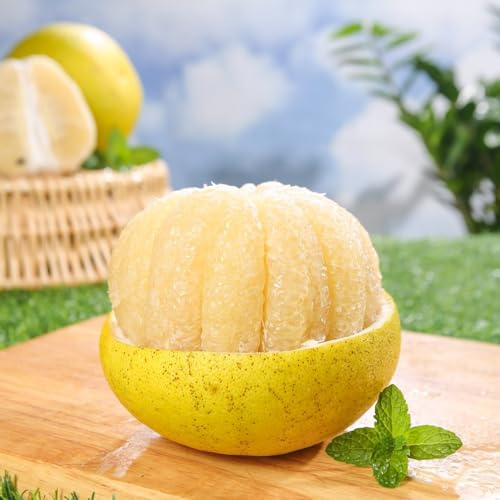 semillas de pomelo columnar semillas jardín resistentes organicas de salada raras 250pcs