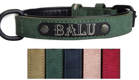 Jacks O Be Hundehalsband Halsband Name Gravur personalisiert Haustier Hund Katze Leder (Grün, M)