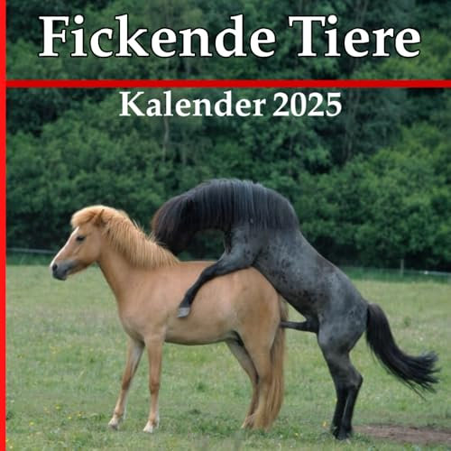 Fickende tiere kalender 2025