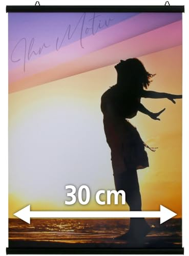 Alu Klemmschiene schwarz Posterschiene Poster aufhängen (30 cm (A3))