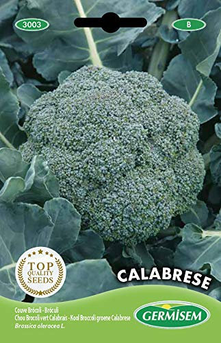 Germisem graines Chou Brocoli vert CALABRESA