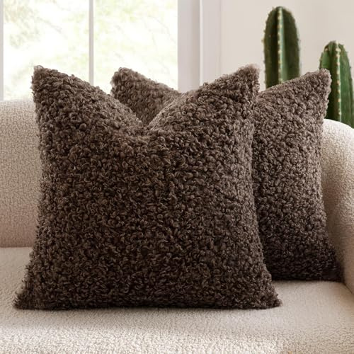 DRADERCH Set da 2 federe per cuscino in pelliccia sintetica Teddy riccia effetto lana, copricuscini decorativi per divano e sofa, federe ornamentali per la decorazione del soggiorno, 40 x 40 cm