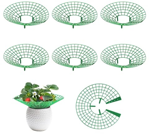 svpfuo 6 Piezas Soporte para Fresas, Rejillas para Soporte de Fresa, Removible Soportes para Plantas de Fresa, Drenaje Transpirable, previene la pudrición de la Fresa y previene Las