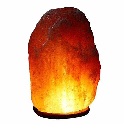 Bosalla Salz Lampe von 2 kg bis 26 kg frei wählbar Kristall Lampen Salt Range Pakistan mit Spezial Leuchtmittel und Kabel in 250 cm WEIß (12-14 kg)