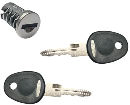 pro-Styling Cylindre de porte + 2 clés de verrouillage pour caravane, camping-car, caravane, FAP, Argenté