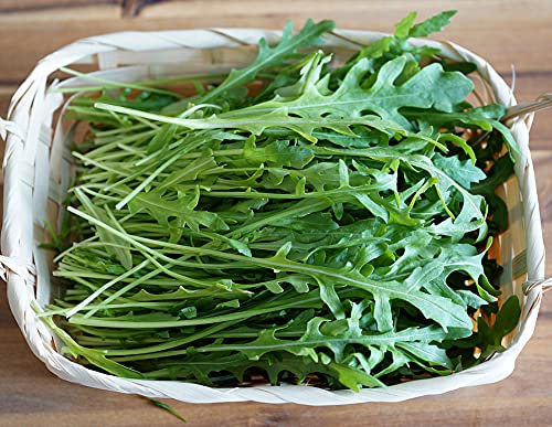 Wilde Rauke - Rucola selvatica - Salate - 4000 Samen