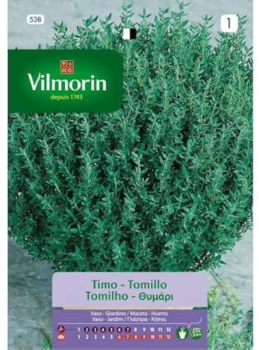 Semi Di Timo Aromatico S-1 538, 1 Gr