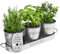 Barnyard Designs Juego de macetas para hierbas con bandeja para uso en interiores o exteriores, macetas decorativas de metal galvanizado para suculentas para cocina, (juego de 3, macetas de 11 x 10 cm