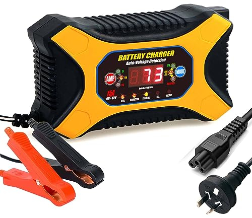 Caricabatterie da auto 12 V, 15 A, con compensazione della temperatura per auto, moto, AGM, gel, SLA ecc