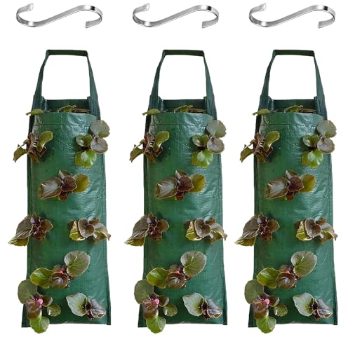 DAZZTIME Bolsas de Cultivo de Fresa, 3 Piezas, Bolsa de Cultivo para Plantas Colgantes, Bolsa de Cultivo de Plantas, para Fresa, Papa, Zanahoria, Tomate y Cebolla