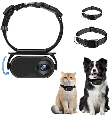 Cámara con Collar para Gatos, Collar Rastreador de Perros HD 1080P, Mini Cámara de Acción para Grabaciones de Vídeo en Interiores/Exteriores, Suministros para Mascotas (Black)