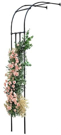 Pergola de tonnelle de jardin noire - Hauteur 240 cm - Arc demi-latéral - Treillis à roses robuste en métal - Arches de jardin solides pour plantes grimpantes, treillis de jardin(150x240x40CM/4.9x7.9x