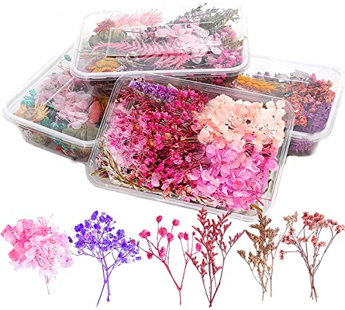 Lizaty 4 Boxen Natürliche Getrocknete Blumen Getrocknete Gepresst Blumen Gemischte Getrocknete Blätter,Gepresste Blumen für DIY Basteln Handwerk Epoxidharz Scrapbooking Dekoration