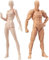 Body Kun Puppe, Künstler-Schaufensterpuppe, Blockkopf, Gelenk-Mannequin, Zeichenfiguren für Figurmodell, männlich und weiblich, Set (Hautfarbe)