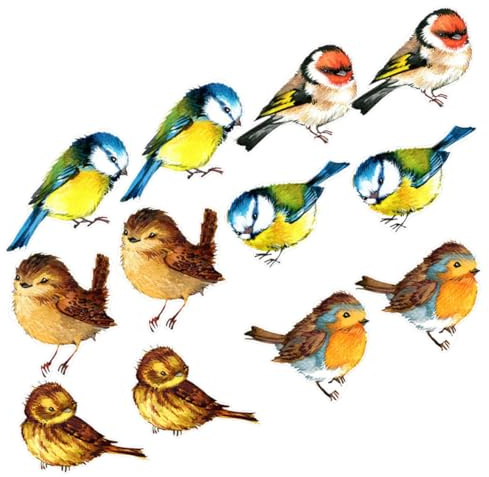 ZUNOXAZ 12 piezas Pegatinas Colisión para Ventanas Adhesivas Estáticas Removibles con Diseño de Aves Coloridas Protección para Mascotas y Aves Decorativas y Reutilizables