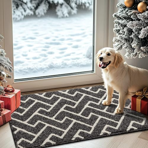 Biscpro Indoor Door Mats,50x80cm Door Mat Non Slip Backing,Dirt Trapper Mat Absorbent Non-Slip Doormat for Entrance,Inside,Kitchen,Front Back Door,Pets and Garden-Black