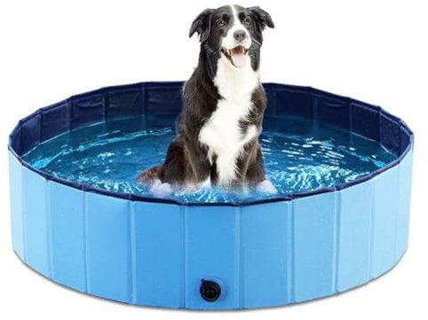 Piscina portatile per cani, pieghevole, in PVC, con porta di scarico per animali domestici, design pieghevole, ideale per tutti gli animali domestici