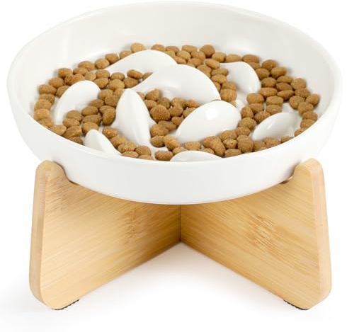 PETTOM Slow Feeder Cat Bowl Ceramic with Bamboo Stand, Raised Rim Spill Proof Slow Eating Cats Bowls for Wet Food/Dry Food(White)