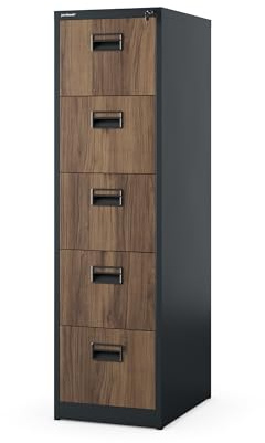 Jan Nowak Armoire pour Dossiers Suspendus Métallique avec 5 Tiroirs Revêtement en Poudre Tôle d'acier (Anthracite/Imitation Bois)