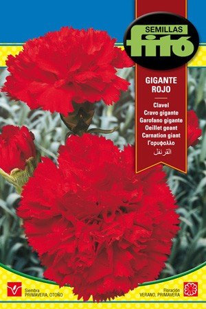 Semilla Clavel gigante rojo - Semillas Fitó