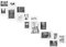 PHOTOLINI weiße Bilderrahmen Set verschiedene Größen, 15 Bilderrahmen weiß Holz MDF, Bilder Rahmen mit Acrylglas, Bilderrahmenset zum Aufhängen, Fotorahmen Set mit Zubehör für Fotos & Poster