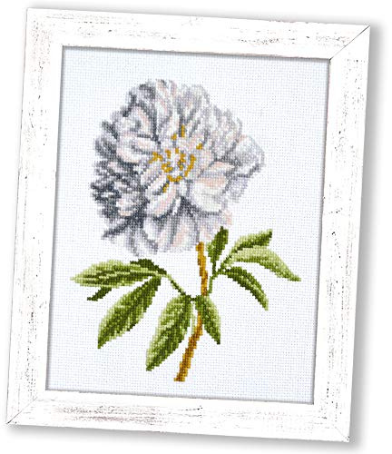 Räknat korsstygnskit Vit pion blommor, 13 cm x 17,5 cm, blommigt broderikit för nybörjare med mönster för heminredning