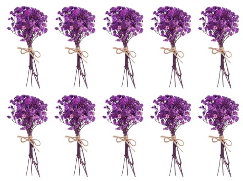 PATIKIL Mini torkad bukett, 10 stycken babyandetag naturlig vild blomma med stjälk dekor boho blommor växt för pyssel gör-det-själv foto rekvisita gåva bröllopsdekor, rosa lila